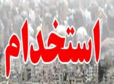 دولت چگونه با 700 هزار شغل جدید مردم را سرکار گذاشت؟ + جدول