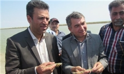 نقش مهم پرورش میگو در توسعه گمیشان و گلستان