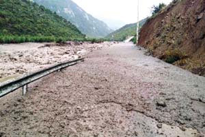 تخريب 300 هکتار از جنگل به بهانه بهره برداري