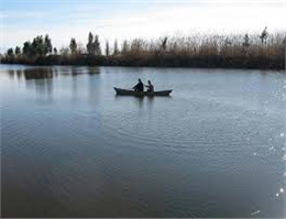 تشکیل کمیته نجات خلیج گرگان