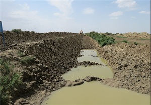 جاری شدن زندگی در تالاب تشنه «آلماگل» + تصاویر