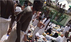 رئیس سازمان حج و زیارت: تعداد جانباختگان ایرانی فاجعه منا به 90 نفر رسید