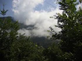 تخلیه 24 روستا حاشیه جنگل در گلستان