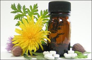 ۱۲۸۳ نوع داروی گیاهی در کشور شناخته شده است