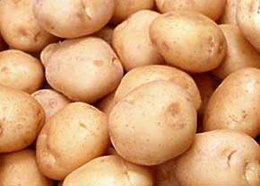 بازخوانی مواضع انتقادی دولتیها؛ روحانی و نوبخت درباره توزیع رایگان سیبزمینی در دولت احمدینژاد چه گفتند