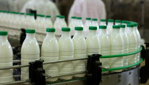 عیدی گرانی در بازار بهاری لبنیات / نداوم سوء مدیریت مدیران روحانی، جیب مردم را خالی‌تر کرد