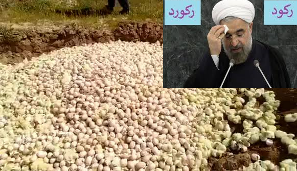 ماجرای «جوجه کُشی»ها در دولت یازدهم و دوازدهم فراموش نشود/ افکار عمومی منتظر اخبار محاکمه عاملان این رفتار غیرانسانی است