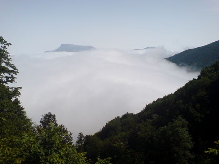 آقای وزیر دست نگه‌ دارید! / لطفا توجه کنید!آقای وزیز!