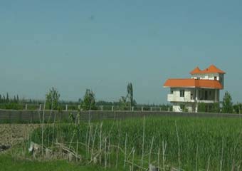 یغماگری اراضی مرغوب و خطر ویلاسازی در مزارع / تغییر کاربری غیرمجاز کشاورزی استان را تهدید می کند