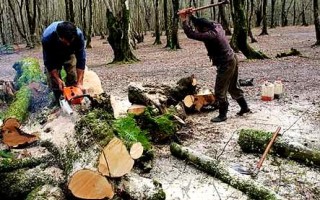 اقدامات سلیقه‌ای یا توطئه‌های عمدی؟!