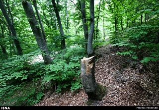 وضع بهتر گلستان نسبت به گیلان و مازندران در جمع‌آوری زباله 