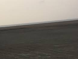 ساحل خواری؛ معضل زیست محیطی جدید