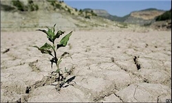 سدهای گلستان هنوز کاملا آبگیری نشدهان/قرار گرفتن گلستان در زمره استانهای برتر مبتلا به خشکسالید