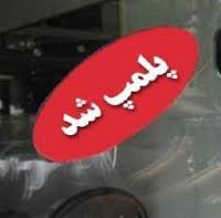 پلمب 5 انبار بزرگ برنج به دلیل آلودگی