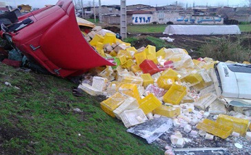 واژگونی ترىلى یک مجروح بر جای گذاشت  