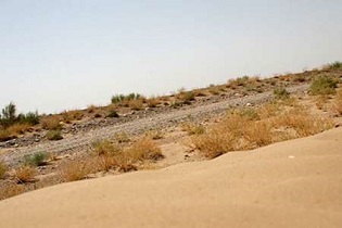 مدیرکل پدافند غیرعامل استان گلستان:اولویت و تمرکز ما به دلیل شرایط گلستان روی مباحث زیستی قرار دارد. 